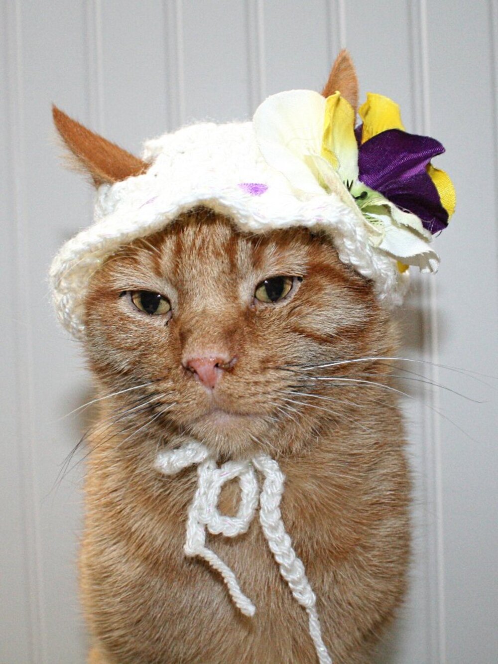 HAND CRAFTED Crochet White Pansy Bonnet Cat Hat Costume Photo Prop